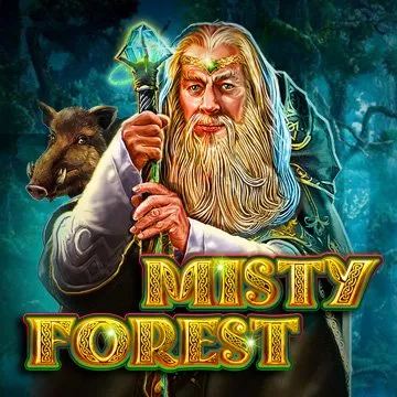 Misty Forest